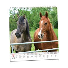 Kalendář Koně 2026