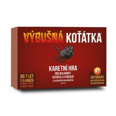 Obrázek