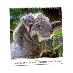 Kalendář Zvířata 2026