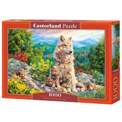 Puzzle Castorland New Generation1000 dílků