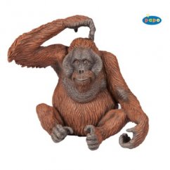 PAPO Orangutan