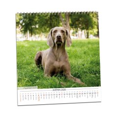 Kalendář Pes - věrný přítel 2026