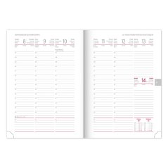 Obrázek (1) Obrázek (1)