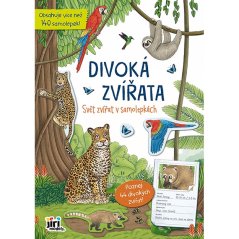 Obrázek