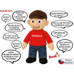 Obrázek