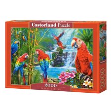 Puzzle Castorland Slet papoušků 2000 dílků