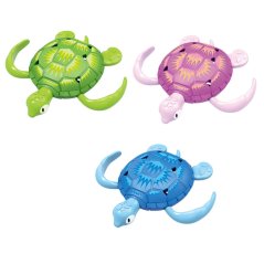 Obrázek (1)