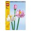 LEGO® 40647 Lotosové květy