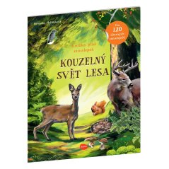 Obrázek