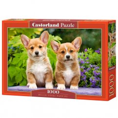 Puzzle Castorland  Welsh corgi puppies 1000 dílků